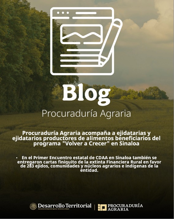 PAgraria's tweet photo. 📢 #BlogPA I 🗞️ 📰
▶️ La nueva Procuraduría Agraria de territorio acompaña a ejidatarias y ejidatarios productores de alimentos beneficiarios del programa "Volver a Crecer" en Sinaloa
🔗 Consulta toda la información a través del siguiente enlace: https://t.co/RSSu2MZTyG https://t.co/AvQUEmCUsI