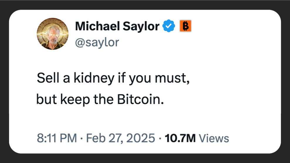 Bound Exchange tweet media