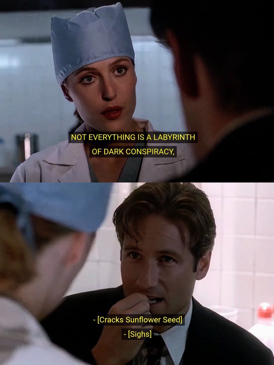 XFilesAesthetic's tweet photo. Mulder and Scully in a nutshell 😭 https://t.co/RnyOHdiubA