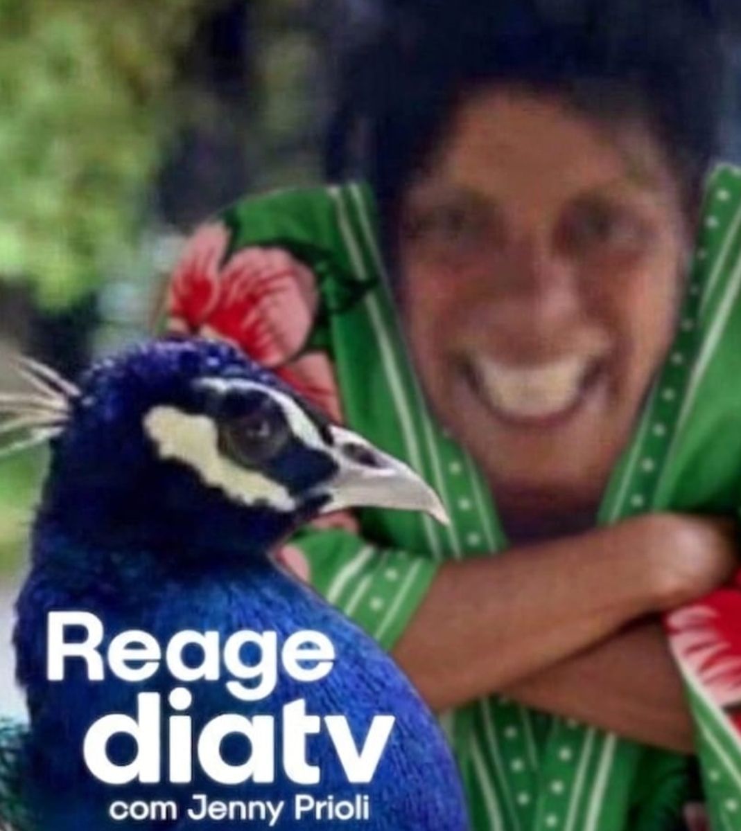 DiaTV tweet media