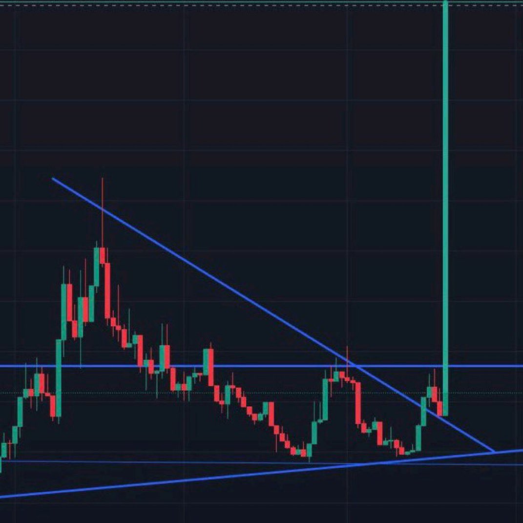 CRYPTO_Alice💞💯💞 tweet media