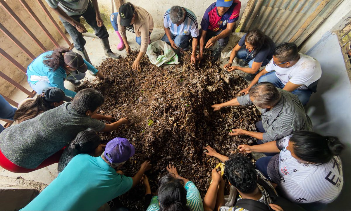 Leoorlandoa's tweet photo. 📊Según datos de la @ONU_es la expansión agrícola es el motor directo de casi el 90% de la deforestación mundial.

🍃Gracias a nuestras 438 escuelas del productor con 14.324 beneficiarios, realizamos 4.500 estudios de suelo en articulación con la ESPAM; y se vienen 3.300 análisis más.

Nuestro objetivo:
✅Examinar la calidad del suelo con sus macro y micro elementos
✅Promover buenas prácticas de manejo en los cultivos

¿Para qué sirve?
✅Para dar acompañamiento técnico a nuestros productores incentivando la elaboración de biofertilizantes y disminuir la dependencia de agroquímicos, especialmente para la sostenibilidad de los cultivos de cacao que representan más del 70% de nuestras Escuelas del Productor. 

✊🏽En el #DíaMundialdelCacao y el #DíaInternacionalDeLaConservaciónDeLosSuelos reafirmamos nuestro compromiso con la aplicación de nuestra Política Provincial Agroecológica y nuestra Ordenanza que institucionaliza la Agenda de Cacao Sostenible y Libre de Deforestación en Manabí.