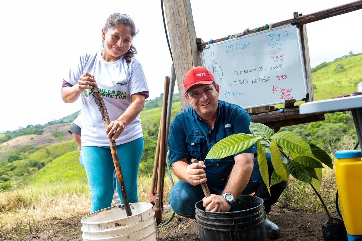 Leoorlandoa's tweet photo. 📊Según datos de la @ONU_es la expansión agrícola es el motor directo de casi el 90% de la deforestación mundial.

🍃Gracias a nuestras 438 escuelas del productor con 14.324 beneficiarios, realizamos 4.500 estudios de suelo en articulación con la ESPAM; y se vienen 3.300 análisis más.

Nuestro objetivo:
✅Examinar la calidad del suelo con sus macro y micro elementos
✅Promover buenas prácticas de manejo en los cultivos

¿Para qué sirve?
✅Para dar acompañamiento técnico a nuestros productores incentivando la elaboración de biofertilizantes y disminuir la dependencia de agroquímicos, especialmente para la sostenibilidad de los cultivos de cacao que representan más del 70% de nuestras Escuelas del Productor. 

✊🏽En el #DíaMundialdelCacao y el #DíaInternacionalDeLaConservaciónDeLosSuelos reafirmamos nuestro compromiso con la aplicación de nuestra Política Provincial Agroecológica y nuestra Ordenanza que institucionaliza la Agenda de Cacao Sostenible y Libre de Deforestación en Manabí.
