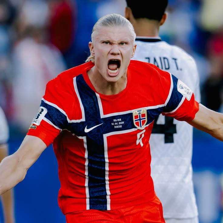 InternetH0F's tweet photo. Norwegian soccer star Erling Haaland says he wants to own a farm after he retires

"Being on a farm... driving a tractor, feeding my cows, that's the dream." https://t.co/jpOG0iX55g