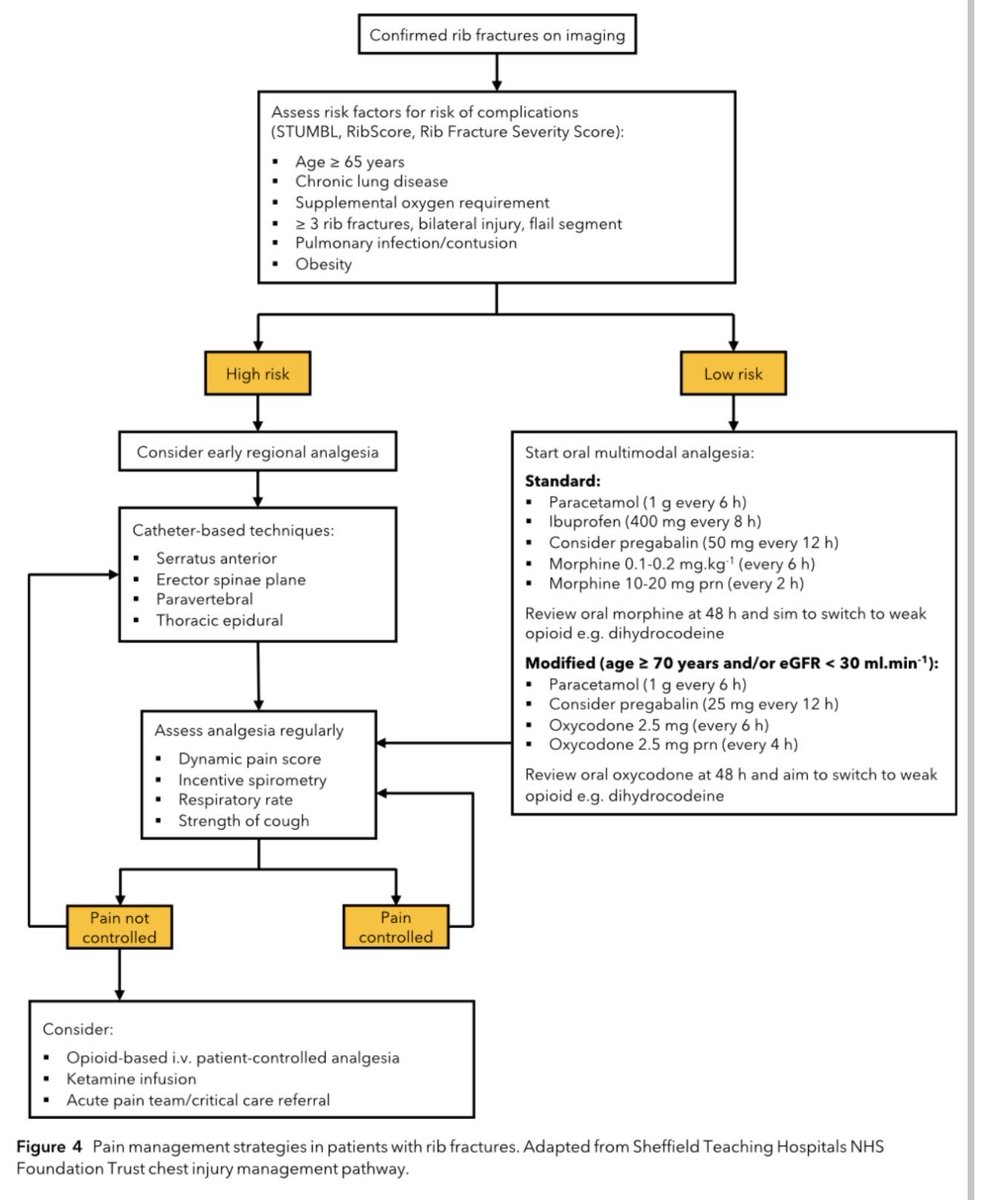 ICUAlgorithmLab's tweet photo. Managing major thoracic trauma? 🫁 Keep these clinical pearls from Kaur et al. (2026) in mind:
1️⃣ Don't underestimate "trivial" trauma, especially in elderly patients.
2️⃣ Success relies on a multidisciplinary approach (Surgery, ICU, PT, Rehab).
3️⃣ Aggressive supportive care (airway, ventilation, pain) is as vital as the primary intervention.
Kaur et al.
🔗 https://t.co/CTqEDPMMt4
#Trauma #Anesthesia #CriticalCare