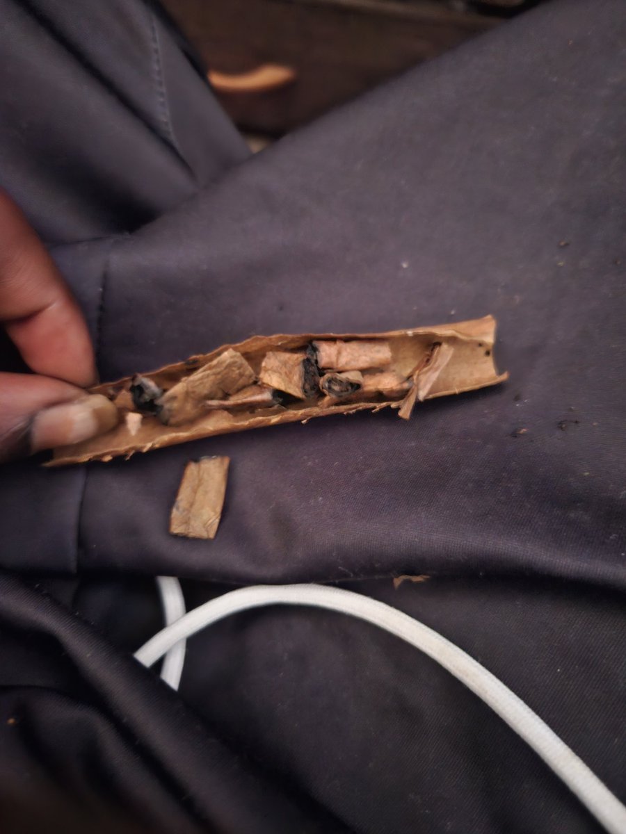 5moke5creen's tweet photo. Just 1 of those #moments #days slow for now.... #JustForToday #SD26vlog #roaches #summer #time #July #SoCal
Waiting all day fo the low good deal to come back round its otw I'm sure lol I got time today... https://t.co/h4snZIssBX