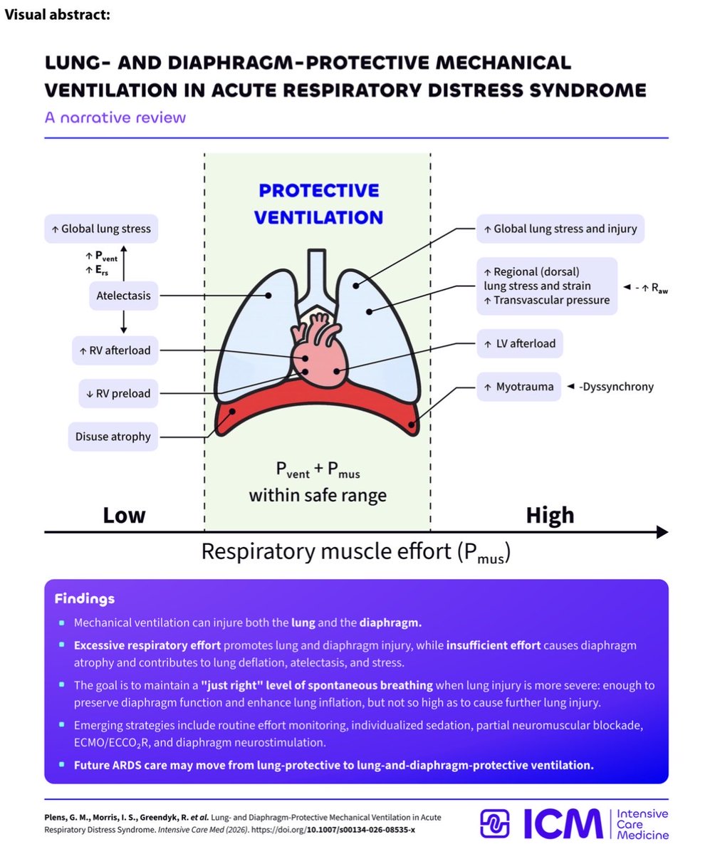 ICUAlgorithmLab's tweet photo. Are we balancing lung and diaphragm protection correctly in our ARDS patients?🫁
Plens, Goligher et al. explore the LDP framework:
✅ Avoiding diaphragm atrophy from disuse.
✅ Mitigating myotrauma from excessive respiratory effort.
✅ Utilizing neurostimulation and partial NMBA as supportive tools.
Read article here: https://t.co/OLNtrt1Phw
 #ICU #FOAMed #CriticalCare #ARDS #RespiratoryMedicine