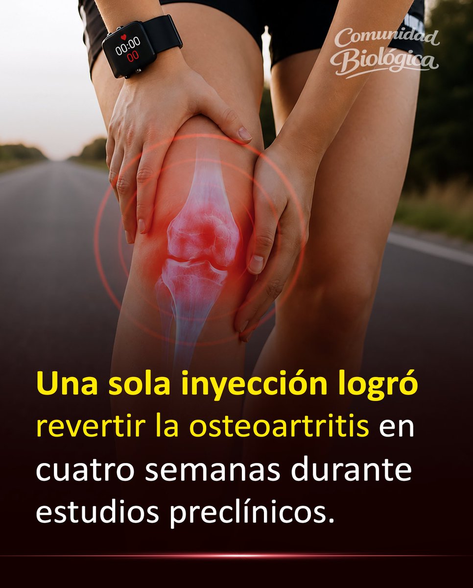 Bio_comunidad's tweet photo. Durante años solo existieron tratamientos para aliviar el dolor. Ahora, una sola inyección consiguió un resultado que parecía fuera de alcance frente a esta enfermedad... (1/2) https://t.co/TA2mlNNTHh