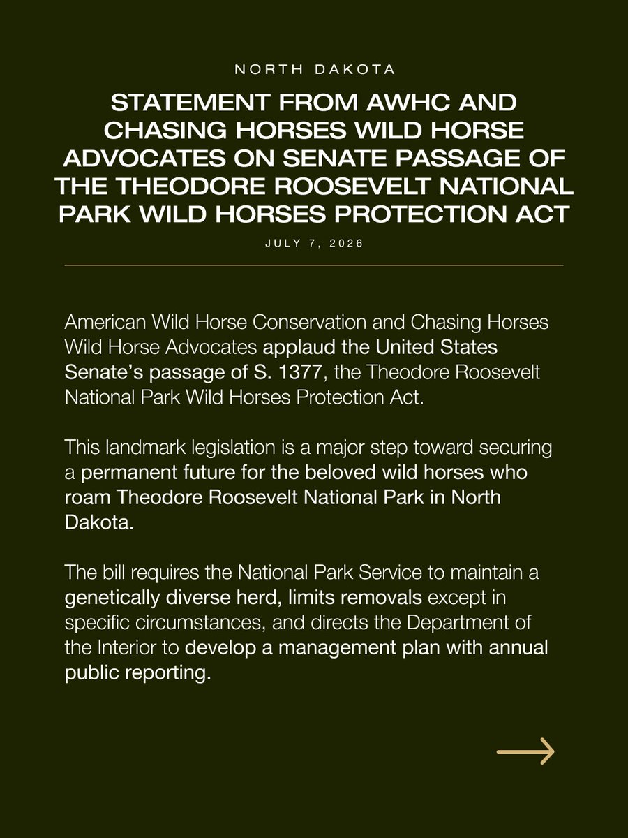 FreeWildHorses's tweet photo. 🐴 A win for Theodore Roosevelt National Park’s wild horses!

The U.S. Senate has passed the Theodore Roosevelt National Park Wild Horses Protection Act—a major step toward permanent protection for this iconic herd.

Now it’s time for the House to act. 🤎 https://t.co/BjmzFP7zNT