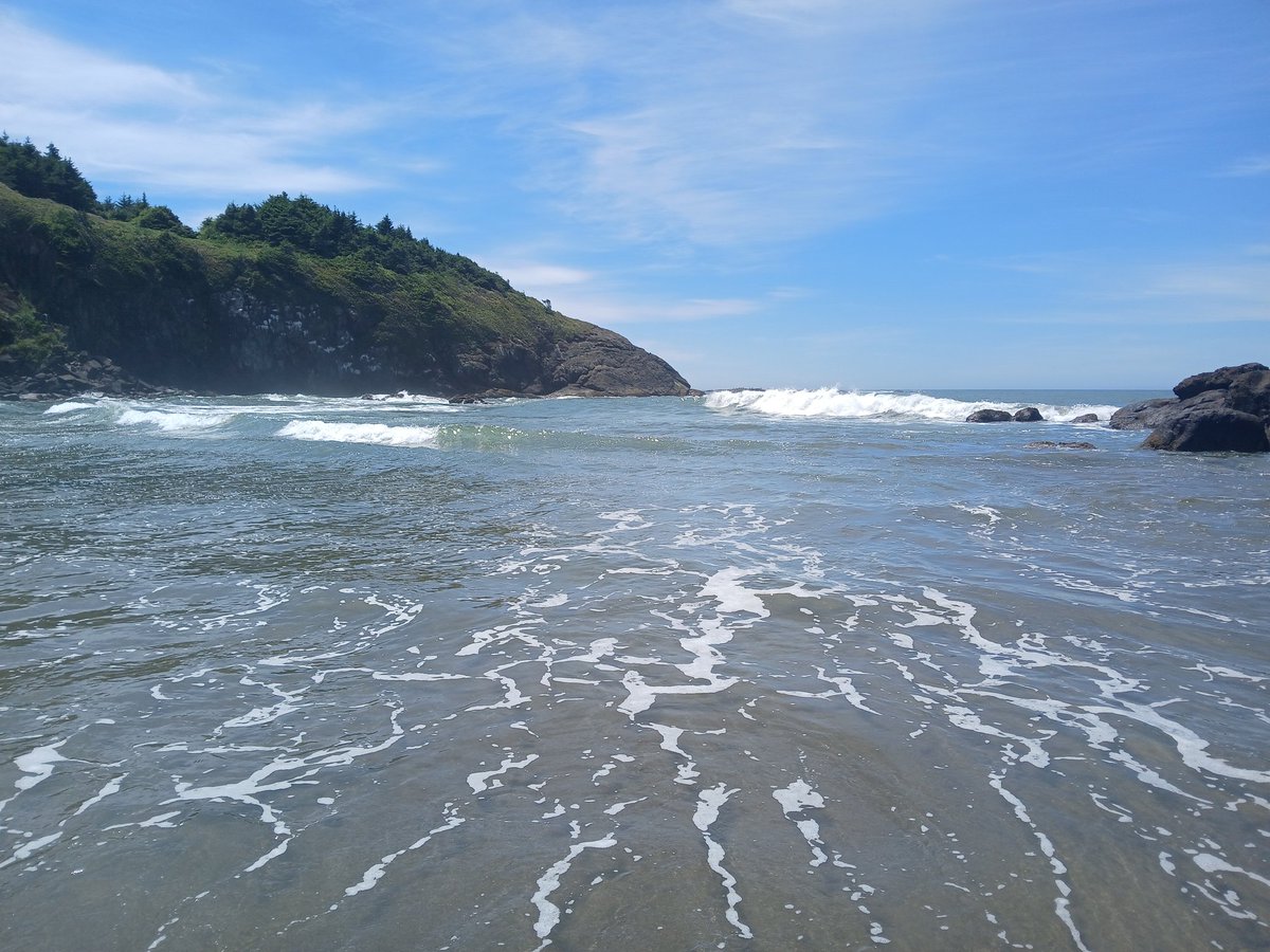 MaraJadeSkywalk's tweet photo. @ShelleyKChilds //Thank you, Shelley! This beach was a haunt of my sister and I when we were kids. 😊🐬🐚🪸
#StarWars #LukeSkywalker #MaraJadeSkywalker #BeautifulOcean #Cove https://t.co/LcNbdKitJH