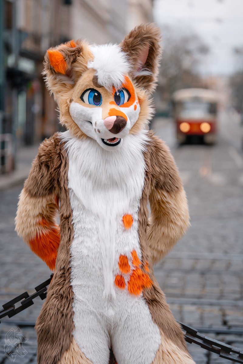 BaddydaWuff's tweet photo. Come and play explorer with me! This city's so full of tiny little wonders and I can't wait to relive them all over again!

... This time tho, through your sparkling eyes 😋

📸✨ @vlaaacek https://t.co/XKDFTULrra