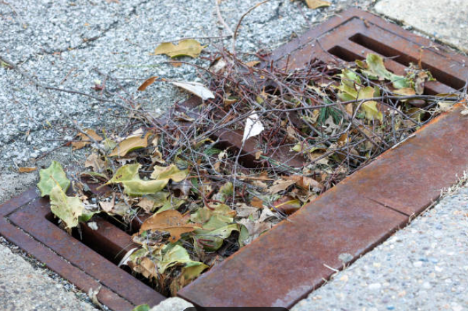 CityofEL's tweet photo. The City of East Lansing’s Department of Public Works will provide a special collection for debris related to the storm event that took place Friday, July 3.

DPW will collect storm debris from Wednesday, July 8, through Friday, July 10.

Read more at https://t.co/UJUBeBzBz5 https://t.co/UdUbNv3qj5