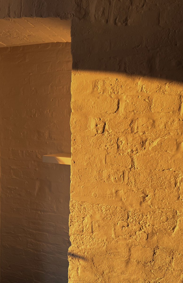 vk_soma's tweet photo. the golden glow that signifies the end of another beautiful day https://t.co/vu0JYRSTnI