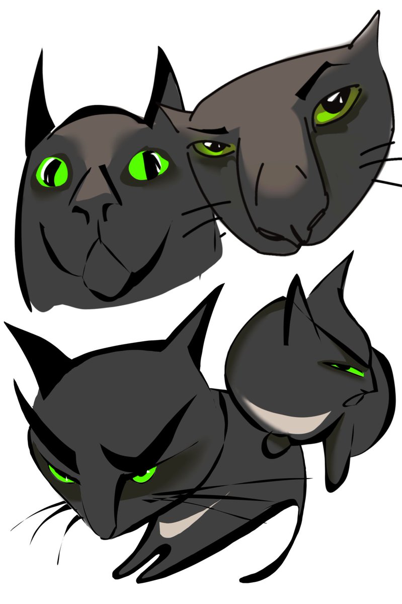 Anxufff's tweet photo. #art #cattwt https://t.co/Ros6FFmzf3