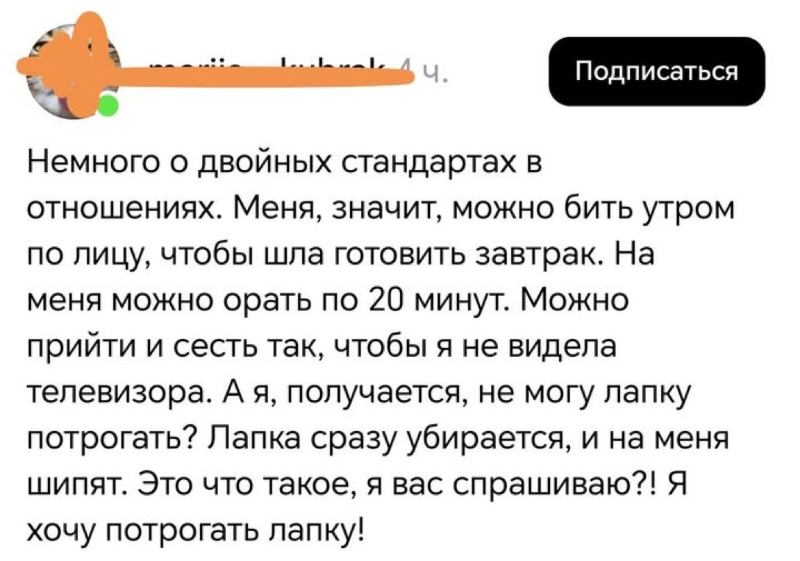 kottissacat's tweet photo. Вот как хотите, но Рысь кун так себя не ведёт. https://t.co/fsdKdAZ9sJ