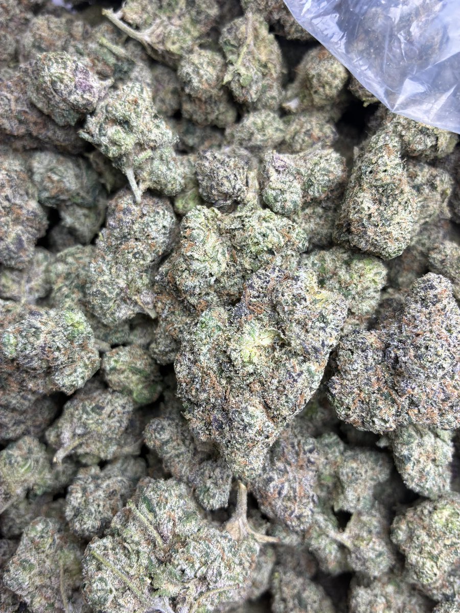 ppg_world's tweet photo. Pineapple crack 🔥🔥🔥 https://t.co/lPs5PaEhrR