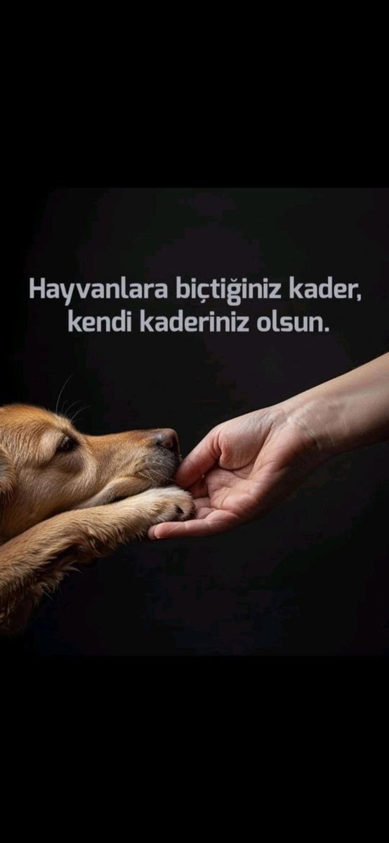 Fdik1's tweet photo. @Akparti 
@MhpTbmmGrubu 
@destici
@erbakanfatih https://t.co/rJe3SBzIZI