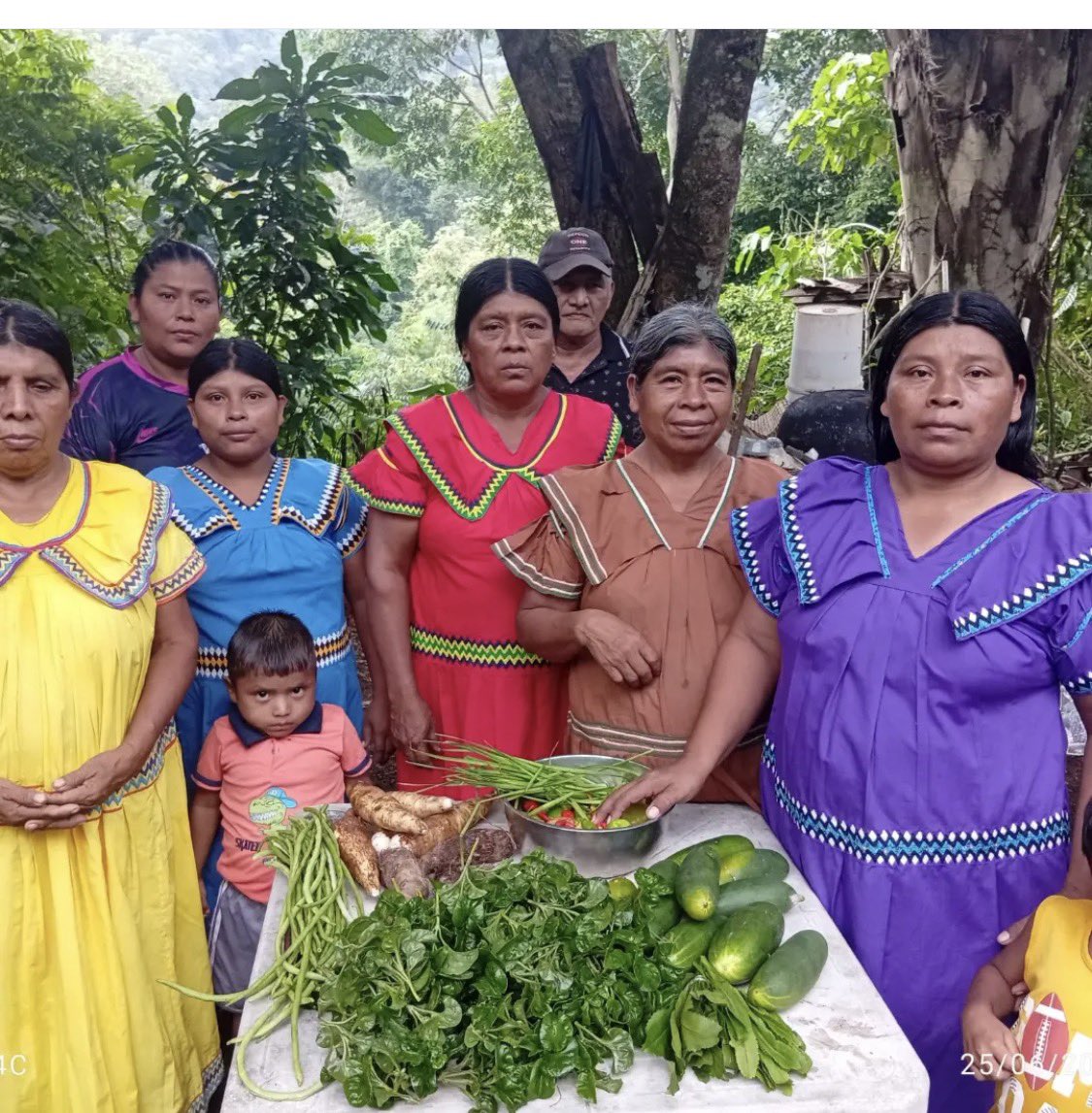 NutreHogar's tweet photo. Los huertos caseros y comunitarios permiten a las familias cultivar vegetales como pepinos, ajíes, tomates que complementan su alimentación, en Nutre Hogar nos preocupamos por capacitarlas utilizando tecnicas y prácticas de agricultura orgánica. https://t.co/l59Vf9H5n5
