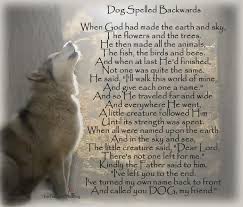 LILBOBDOG's tweet photo. @Alinavisoo_life I will take my dog any day https://t.co/atvSB2jtHm