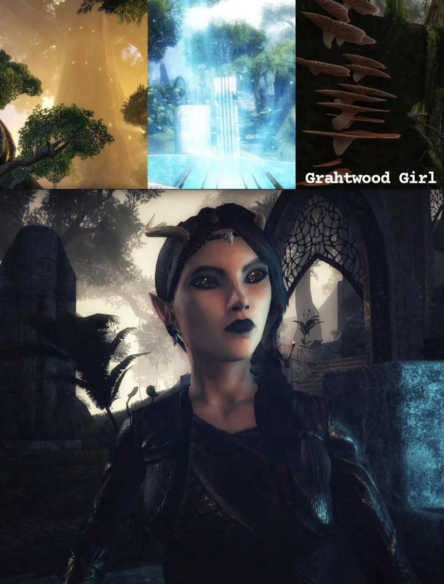 Savage_Nirnroot's tweet photo. I've been working on a little series for a while and can finally share. 
Hope you all enjoy these as I post them 🫶

@TESOnline @ElderScrolls #Talia #Vvardenfell #Dunmer #Elyna #Altmer #Auridon #DaroFiestyFloof #Khajiit #SouthernElsweyr #Azalea #Bosmer #Grahtwood #ESOfam #ESO https://t.co/G5fC35zvH8