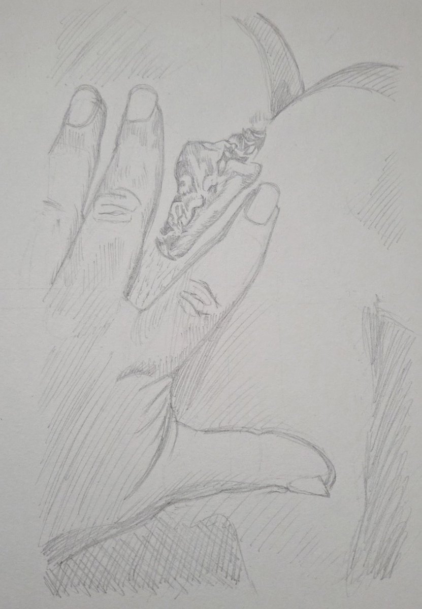 Sense_Art_'s tweet photo. "Spicy Spread" from a creator on Fansly. Check out my page for more

#nsfw #art #spread #colour #pussy #realism https://t.co/jibXZVea8s