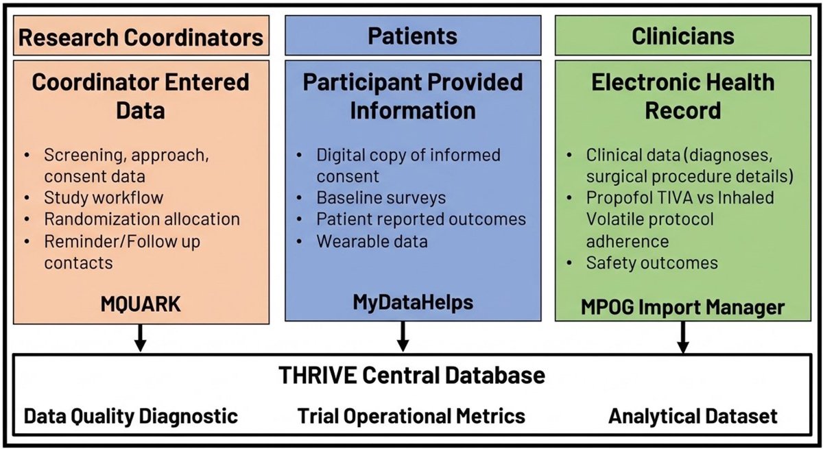 _Anesthesiology's tweet photo. The THRIVE trial examined patients’ experiences and outcomes after receiving either total intravenous anesthesia with propofol or inhaled volatile anesthesia for general anesthesia.

📙 Read the new study by Janda et al.: https://t.co/3q04SRx0Oh https://t.co/HAiQaXU4xd