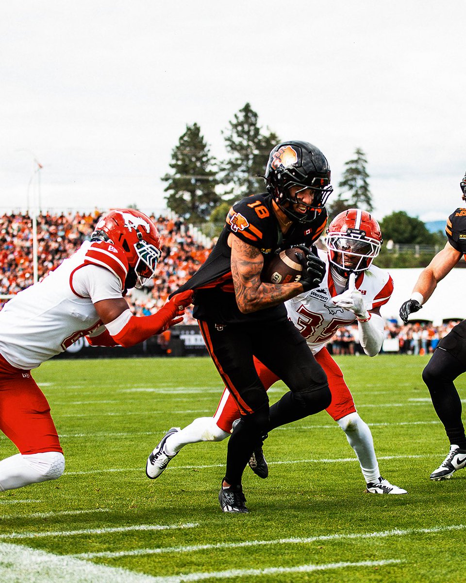 BCLions's tweet photo. Reliving the action 📸 https://t.co/7yuDcgrWWe