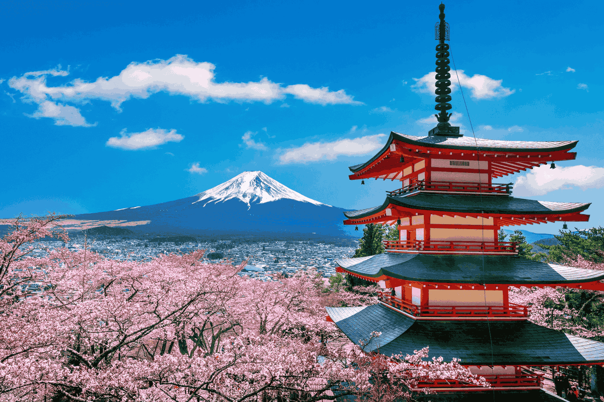 ArissaVanta's tweet photo. Impian para wibu (termasuk diriku) adalah menabung untuk pergi ke jepang🧍👍 ingin solo traveling disana seperti orang hilang🧍👍

Nabung pake gaji INDONESIA yang SANGAT BESAR yaitu 2jt/bulan (belum potong makan) kira-kira kekumpul berapa lama ya? https://t.co/APLLn2UcXl