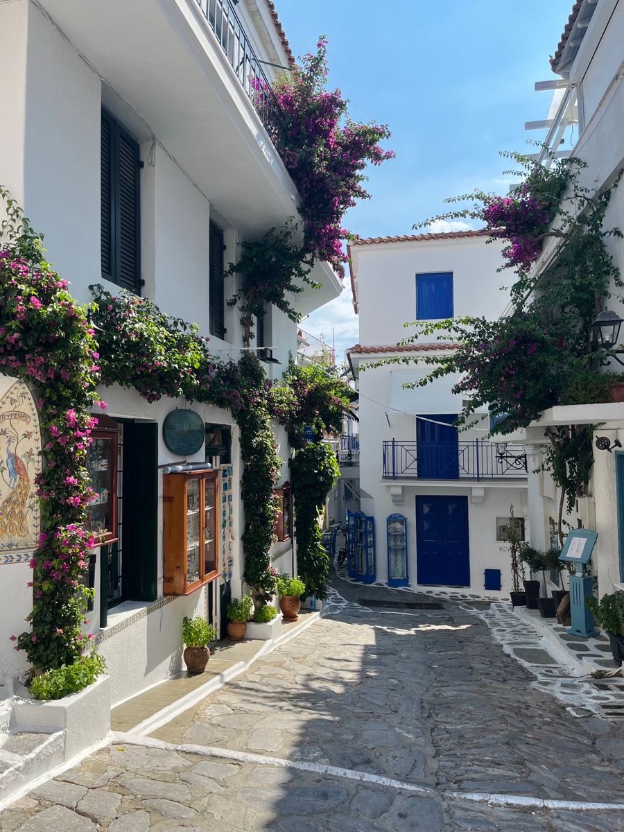 vistaaura222's tweet photo. Skiathos, Greece https://t.co/70zuyxXT2i