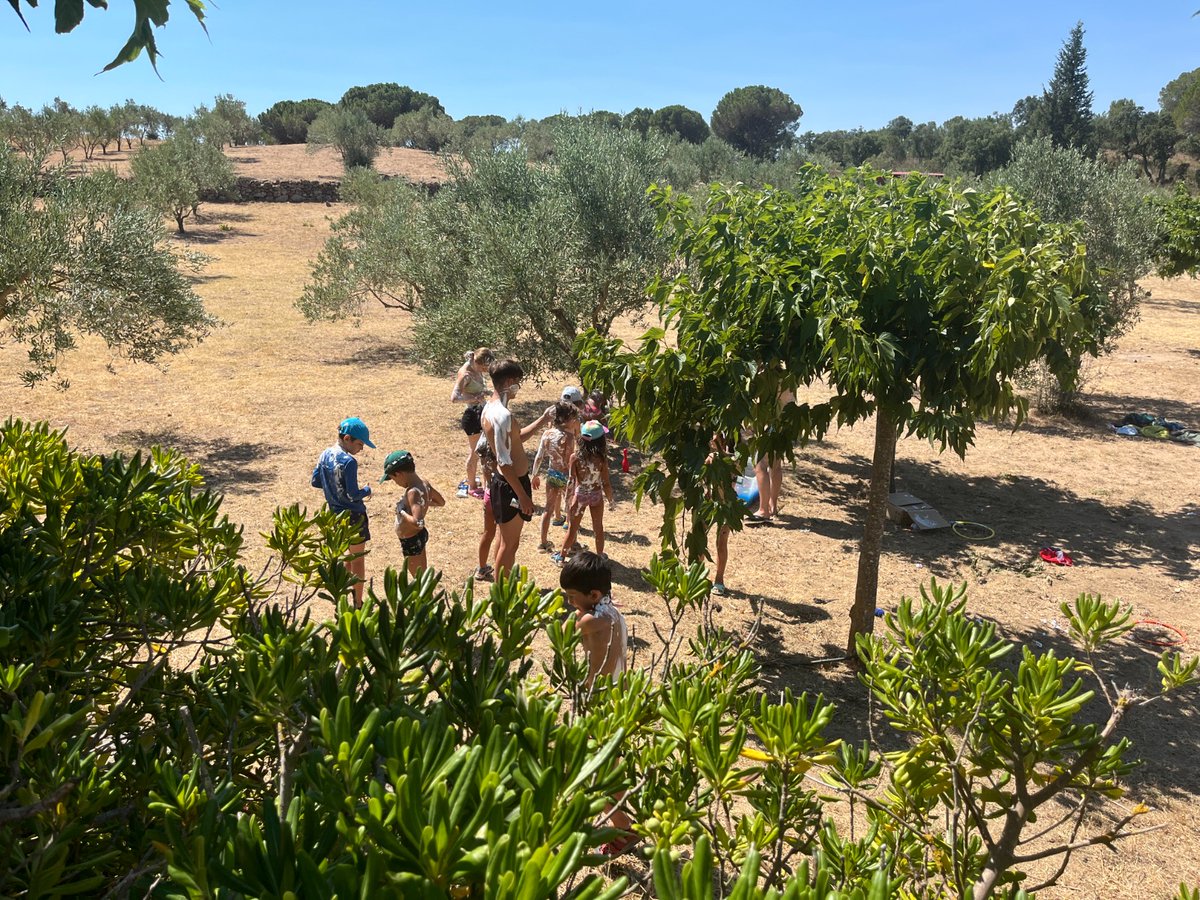 hemofilia_cat's tweet photo. Avui dia d'escapisme hem jugat a la guerra guarra, a diferents jocs d'aigua i hem fet el mític partit de volei que mai falta a @hemofilia_cat
@HemostasiaStPau @Hemato_Vhebron @SJDbarcelona_ca https://t.co/NpAeHRg8Ji
