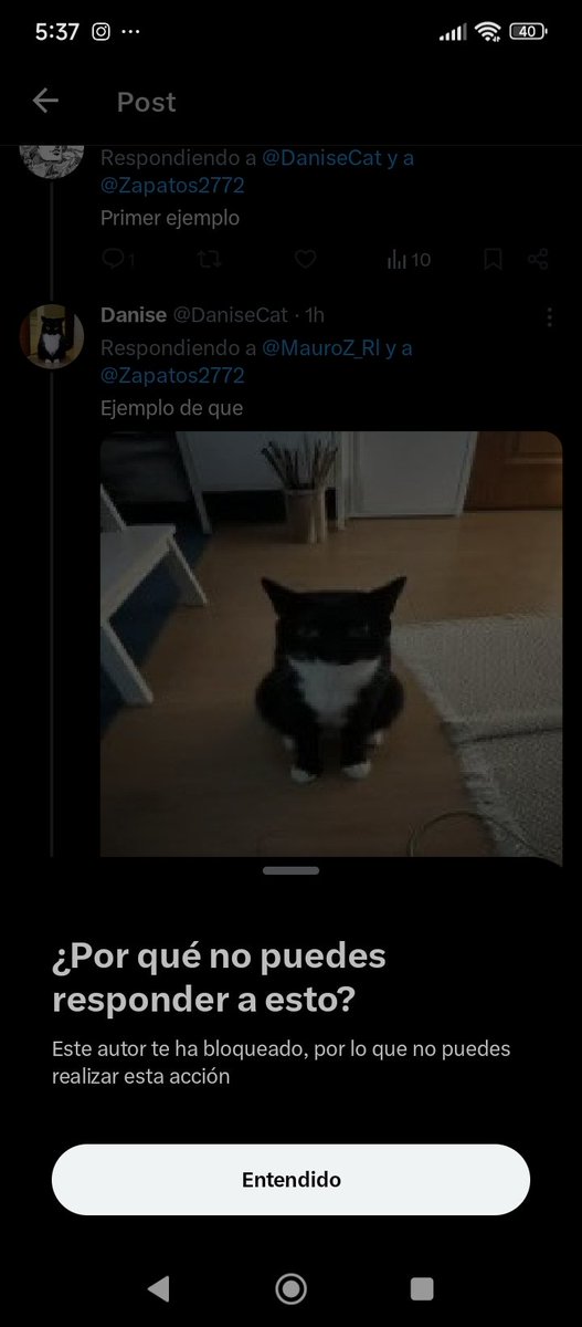 Danise tweet media