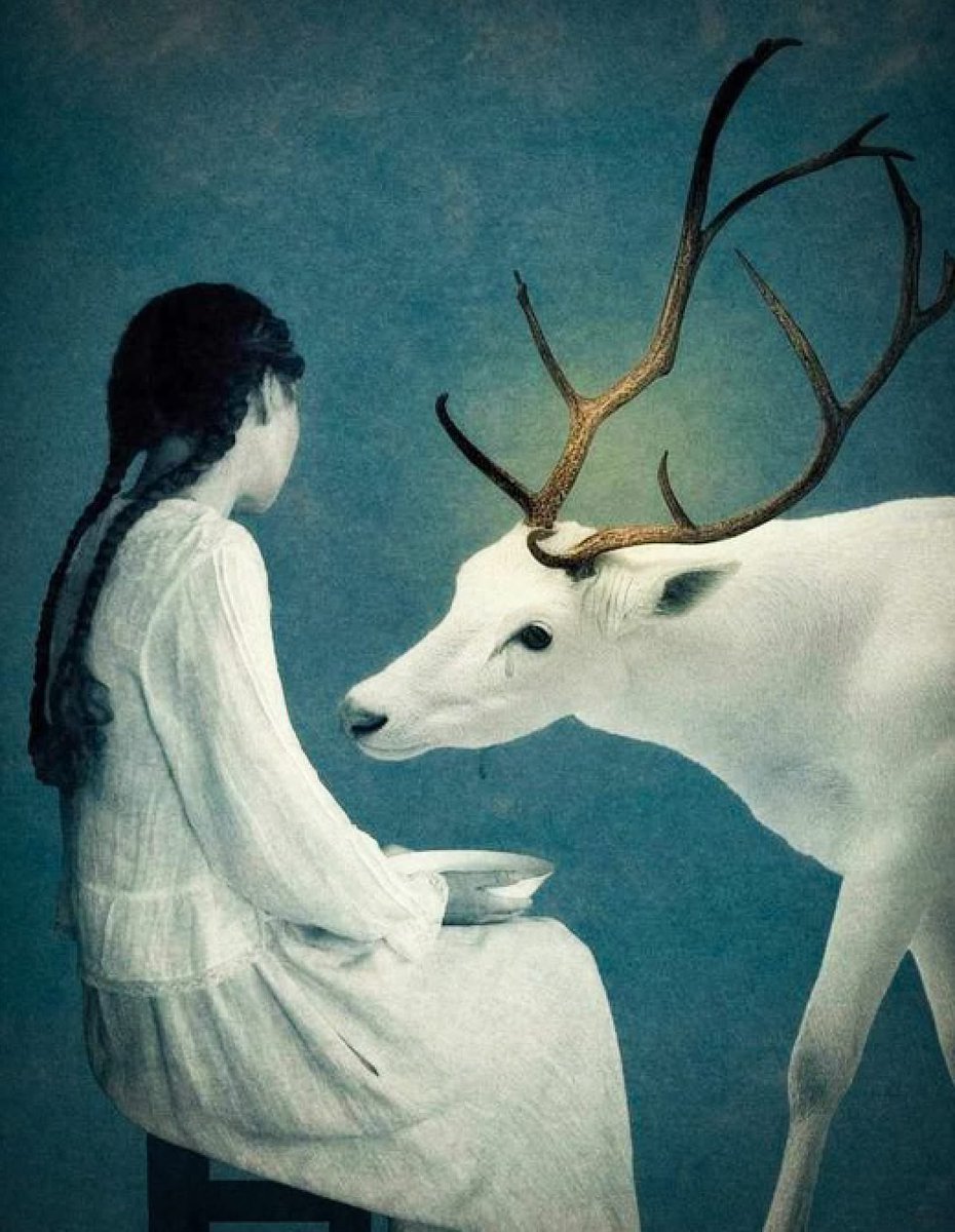 Enlace_50's tweet photo. "Dejar ir no significa deshacerse de algo.
Dejar ir significa dejar ser. 
Cuando dejamos ser con compasión, 
las cosas van y vienen por sí solas".
~Jack Kornfield
(Art by 'Laura Makabresku') https://t.co/YhxHTi9qbE