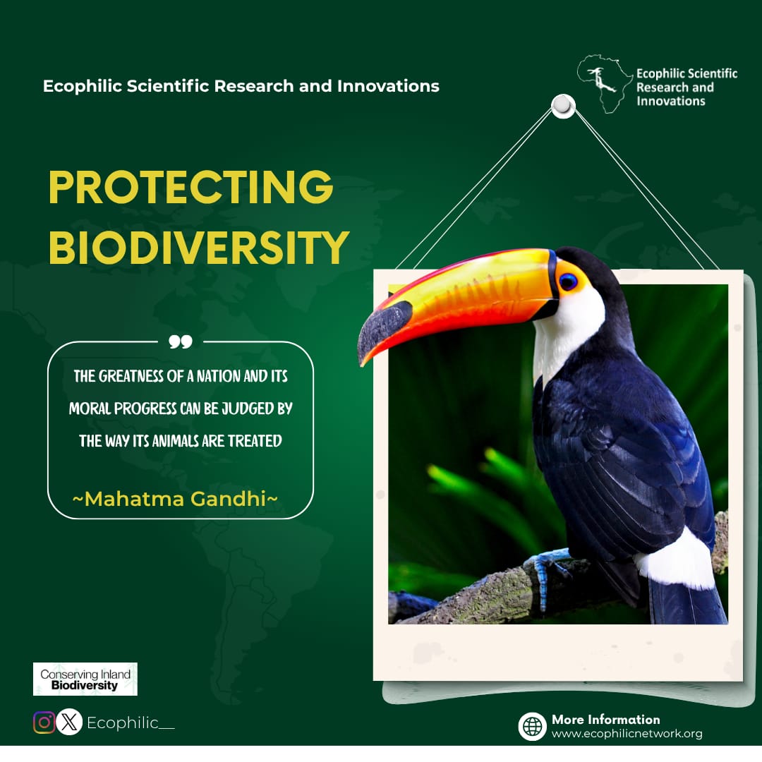 ecophilic__'s tweet photo. The greatness of a nation and its moral progress can be judged by the way its animals are treated." - Mahatma Gandhi. Protecting biodiversity isn't just about saving nature; it's also about safeguarding the future we share together. 
.... https://t.co/zYrVNeJ8Py