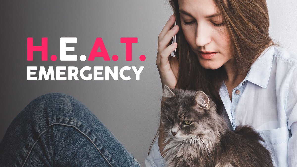 WakeGOVPets's tweet photo. As temperatures rise, don't forget your pets. Hot weather can become dangerous quickly, but a few simple precautions can help keep them safe.

Remember H.E.A.T.:
H is for Hydration
E is for Emergency
A is for Asphalt
T is for Transportation

https://t.co/bLrn4Q32JG https://t.co/krakvO2sMR