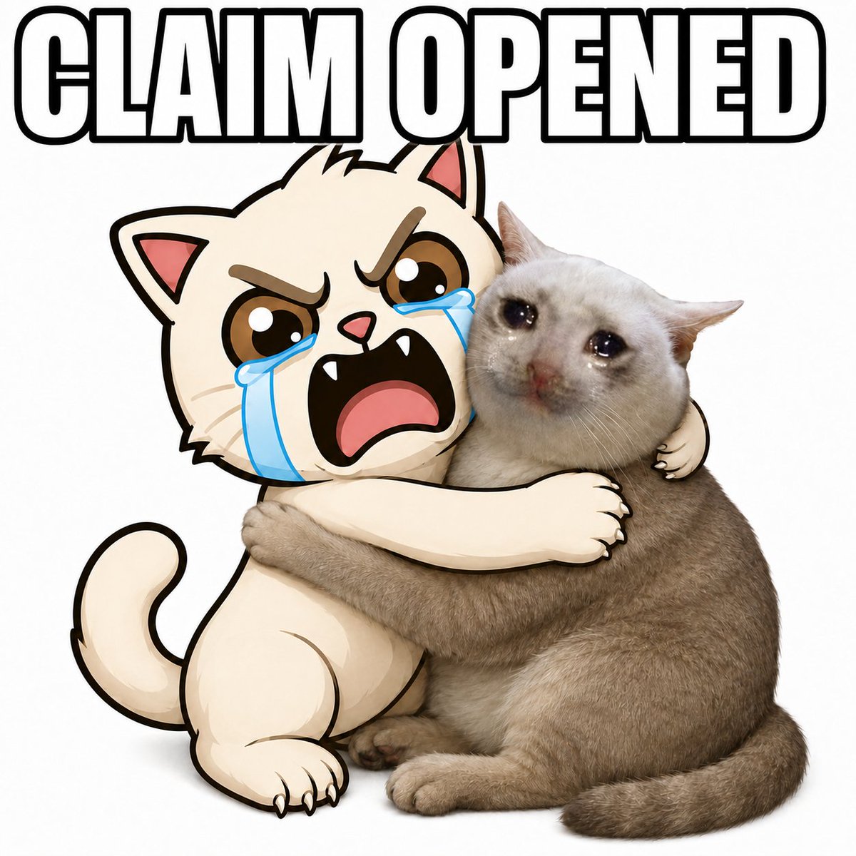 CrashCatToken's tweet photo. Claim is open for @cashcat_token holders

You have 7d.
After you cry 😿

Remaining tokens will be burned forever 🔥

https://t.co/MOxXuotLpz https://t.co/P2phjiJLCJ