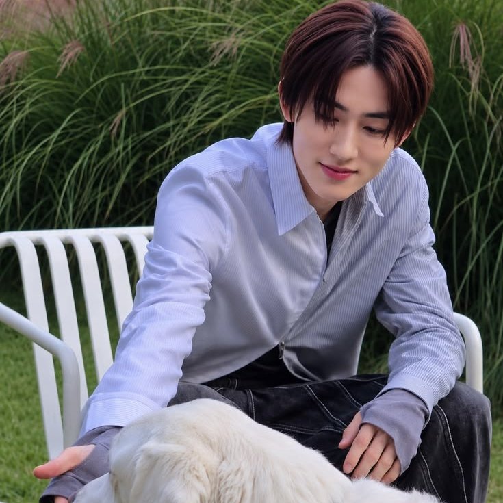 🐶 tweet media