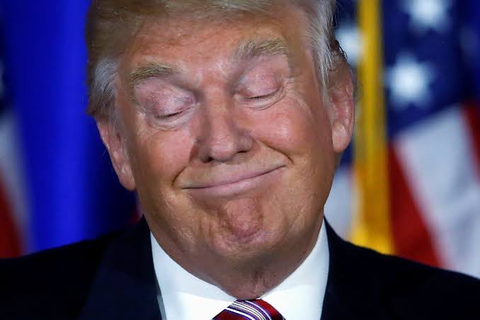 MikeBales's tweet photo. Trump is the first United States President in 125 years without a pet. Instead, he’s made the Democratic Party his bitch. https://t.co/90BWoDebMU