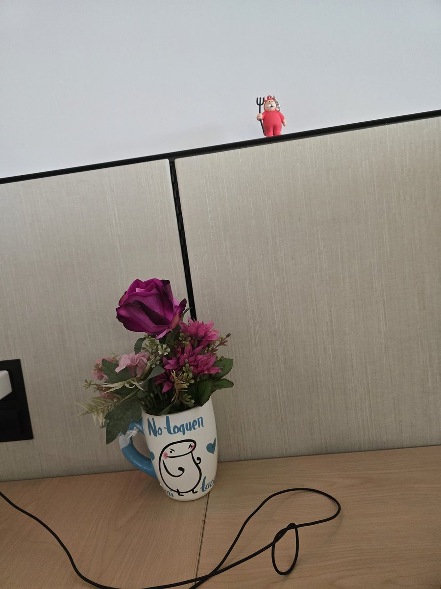 espe1009's tweet photo. https://t.co/sxDOO2jgdS