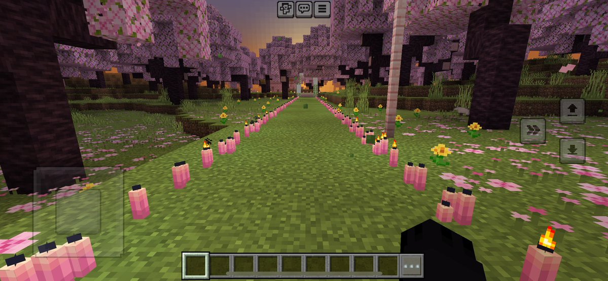 vbendetta1911's tweet photo. estaba viendo mis fotos y me encontré con estas ss de cuando le hice un camino de velas a mi ex como en el libro de la vida pq era nuestra película favorita 😪 https://t.co/z92hKMyDgz