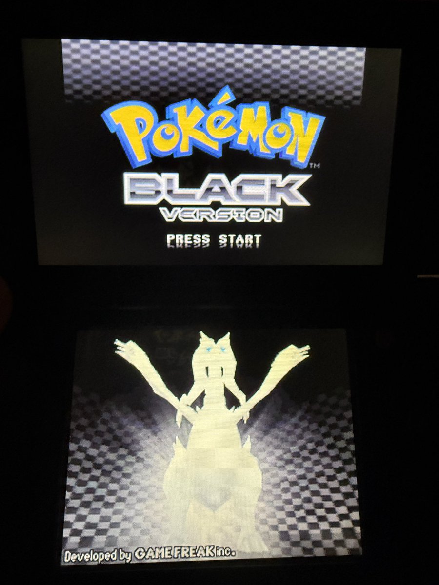 RSGabe1's tweet photo. I recently bought a used copy of Pokemon Black and originally I wanted to just play the game over again but I can’t bring myself to delete this old save data that hasn’t been touched since 2012

It’s even got the event Pokemon from the time😭 https://t.co/UuXqi7jknU
