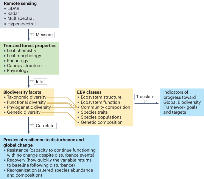 NatRevBiodiv's tweet photo. New online! Remote sensing delivers tropical forest resilience monitoring for the Global Biodiversity Framework https://t.co/NVTmEHMbpc https://t.co/eIcvbFHYul