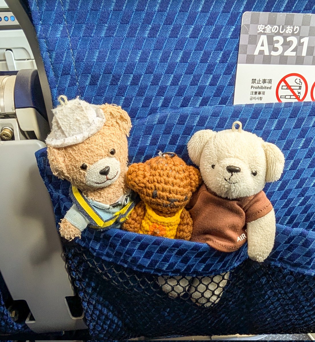 seibi3_beardo3's tweet photo. @zaginde_si_su_ 🐻‍❄️ ぼくたちも こうちに いくよ🐟️
🐻 こんしゅう いくよ🚙
🧸 おねーちゃんに あいに いくんだ👩 https://t.co/dsjWKlHUml