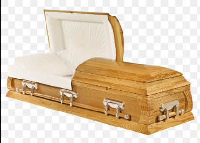 yzabc543's tweet photo. @mayaofficialph Coffin for your bad service.  Paypal to maya is again malfunctioning and my money got stuck in delivered but doesnt appear in my wallet.  How about you fire your fucking developers and your useless customer service. Don't hire this customer service company which Maya hires https://t.co/e865UAu7Ca
