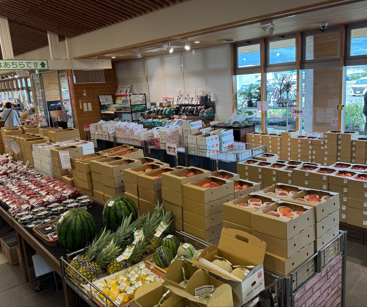 michinoeki923's tweet photo. 本日も桃🍑たくさん入荷中です

🍑はつひめ
🍑日川白鳳
🍑夏雄美
🍑尚美
🍑暁星

販売中✨️

ついに暁星がお目見えしてきました😉

1箱1000〜1500円前後です。

 #あつかしの桃2026 https://t.co/NtLxMnT7iR