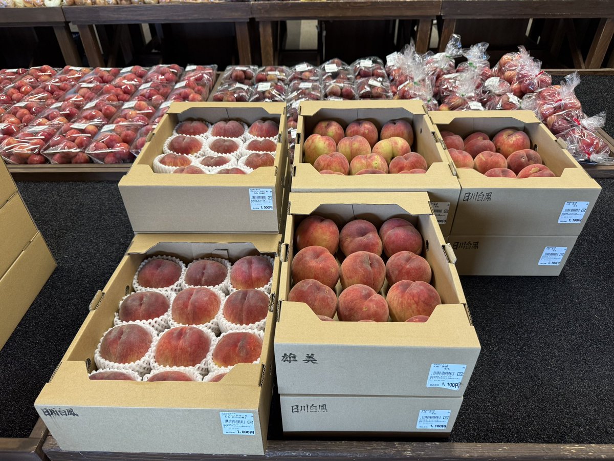 michinoeki923's tweet photo. 本日も桃🍑たくさん入荷中です

🍑はつひめ
🍑日川白鳳
🍑夏雄美
🍑尚美
🍑暁星

販売中✨️

ついに暁星がお目見えしてきました😉

1箱1000〜1500円前後です。

 #あつかしの桃2026 https://t.co/NtLxMnT7iR