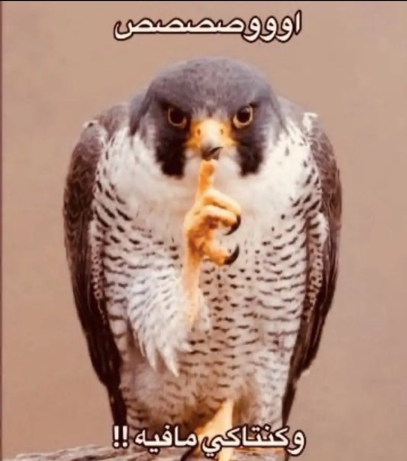 بعدين tweet media
