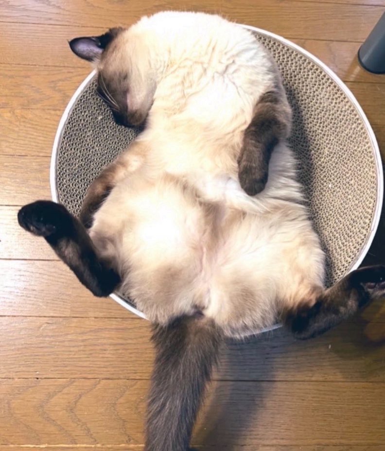 Oa1Un's tweet photo. 電池切れ https://t.co/LNZ7FSfk1u