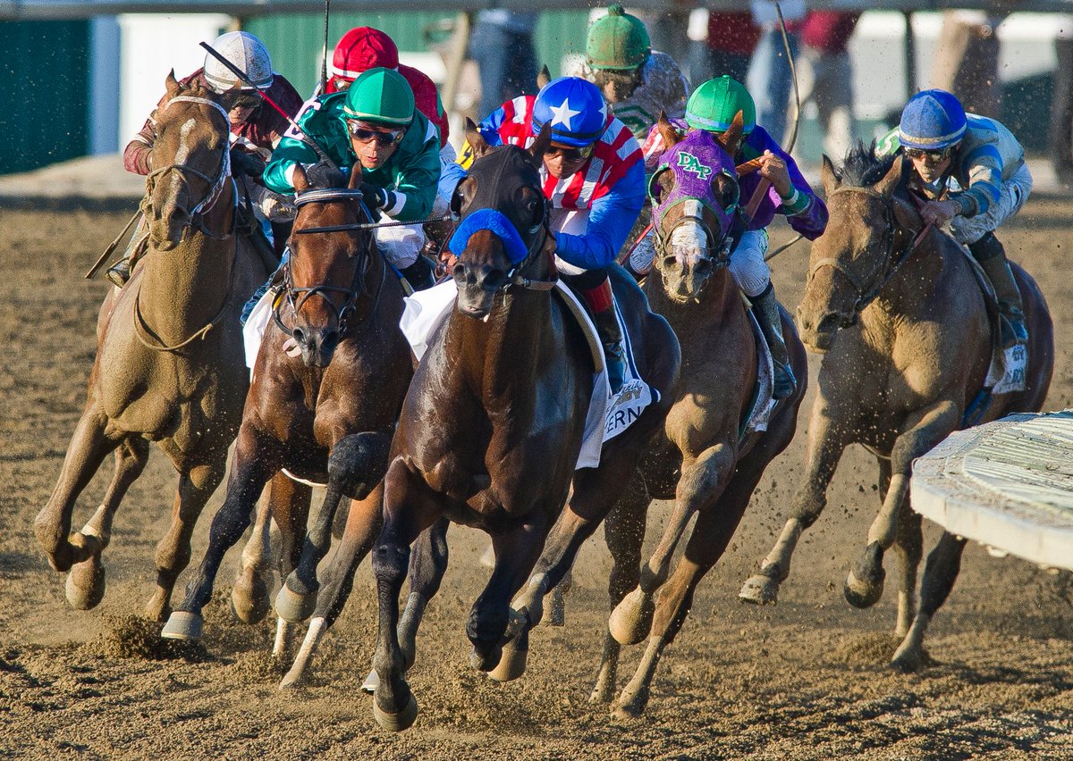 EclipseSports's tweet photo. Sad news out of Korea as 2014 @BreedersCup, Pennsylvania Derby, Haskell and Woody Stephens winner Bayern has died from complications following surgery. Post-racing, he sired four grade/group winners. https://t.co/vvBacMH0Pz