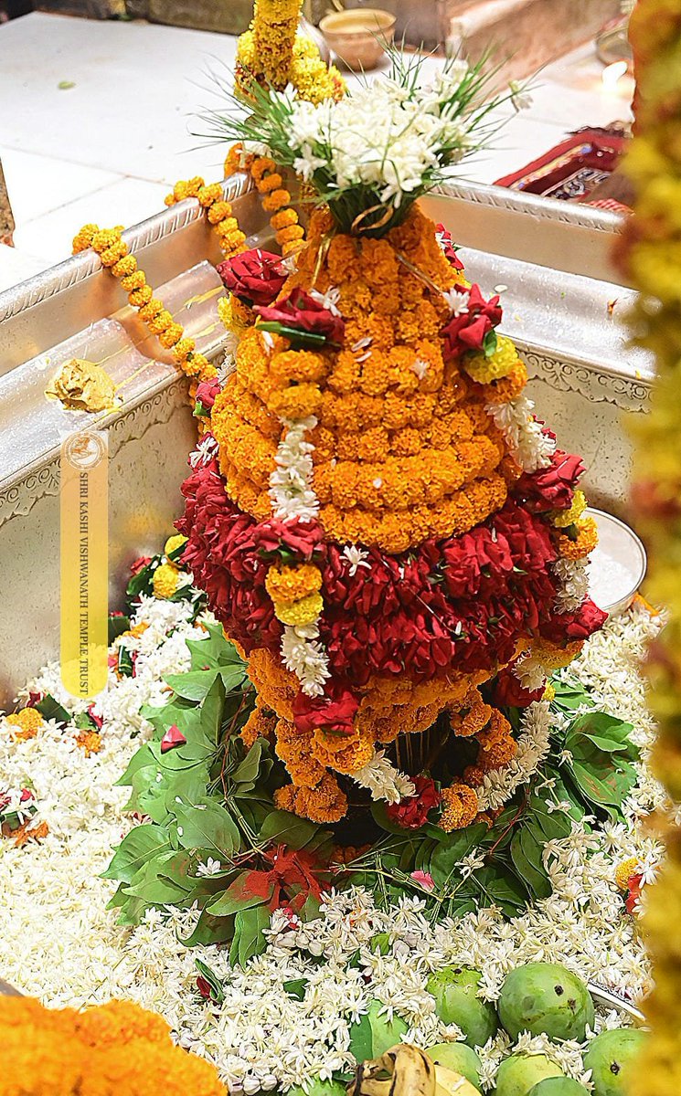 ShriVishwanath's tweet photo. श्री काशी विश्वनाथ जी की मंगला आरती I
#kashivishwanath #kashi #sanatandharma #banarasisilk https://t.co/fwefXaZzF5