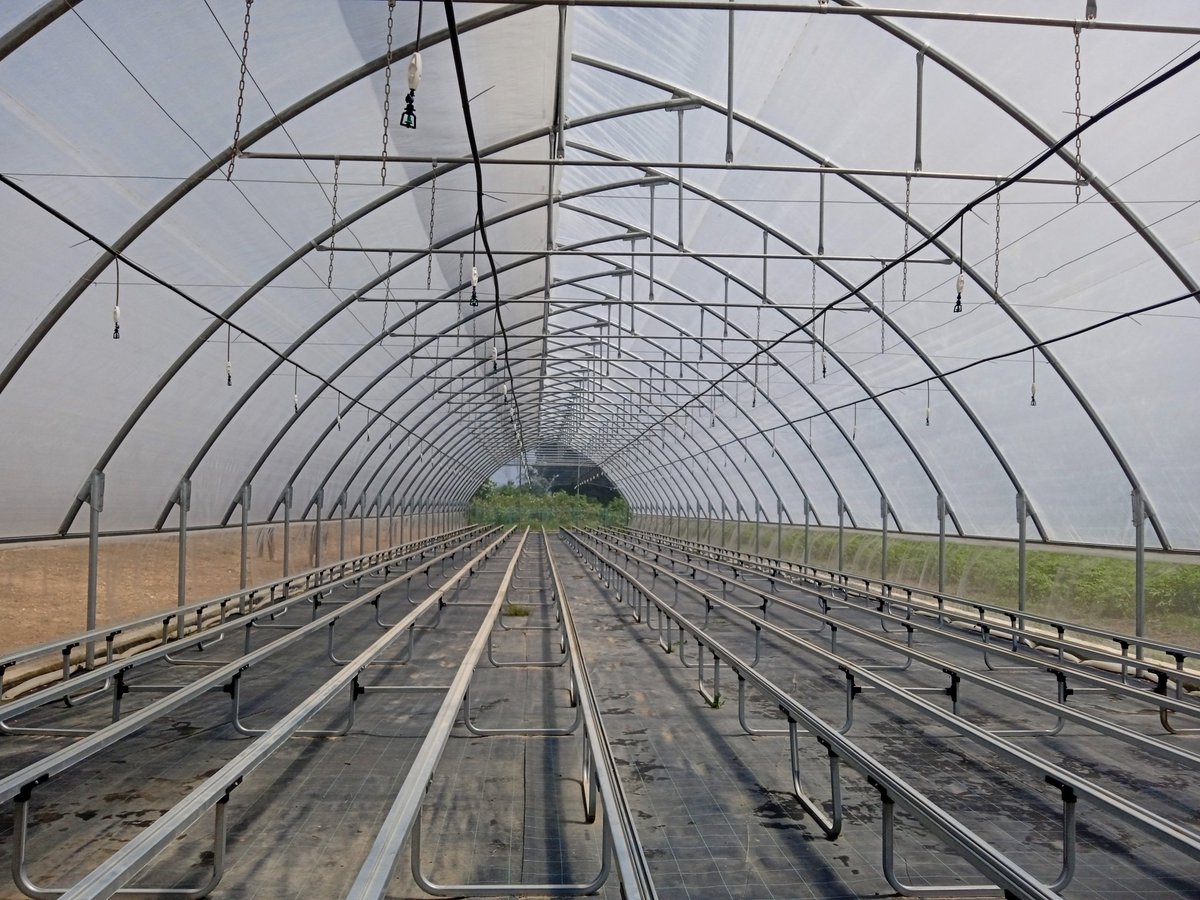 GobProvPR's tweet photo. 🌿En el municipio de San Juan y Martínez, el mayor productor de tabaco en #Cuba, se instalan 11 nuevos túneles para la producción de posturas en la campaña 2026- 2027, una tecnología que protegerá las plántulas de las lluvias. 

https://t.co/Xyq0vl1iSO https://t.co/AAy5SQkYdN